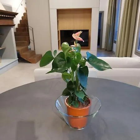 Ponte Vecchio - Luxury - Town Center Appartement