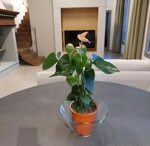 Ponte Vecchio - Luxury - Town Center Lejlighed